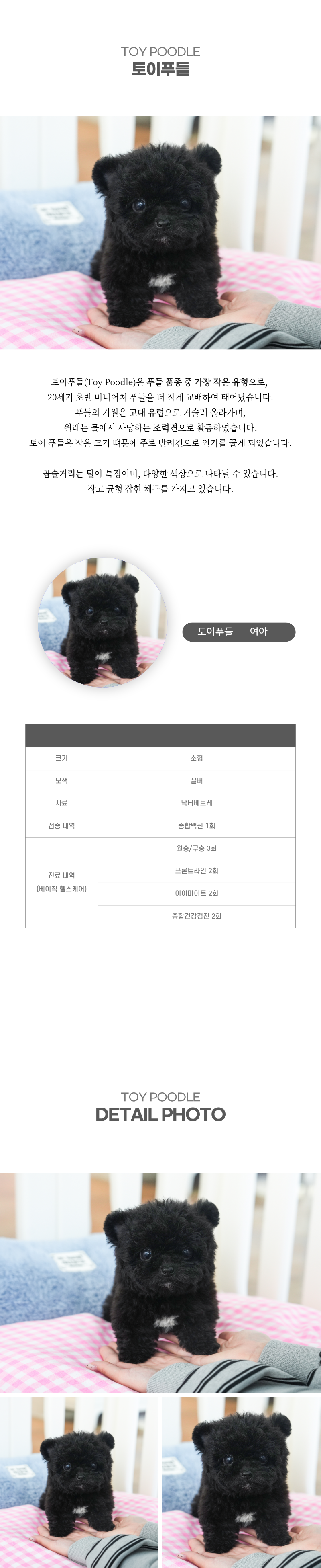 토이푸들_상세이미지_2